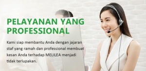 Pelayanan Yang Profesional